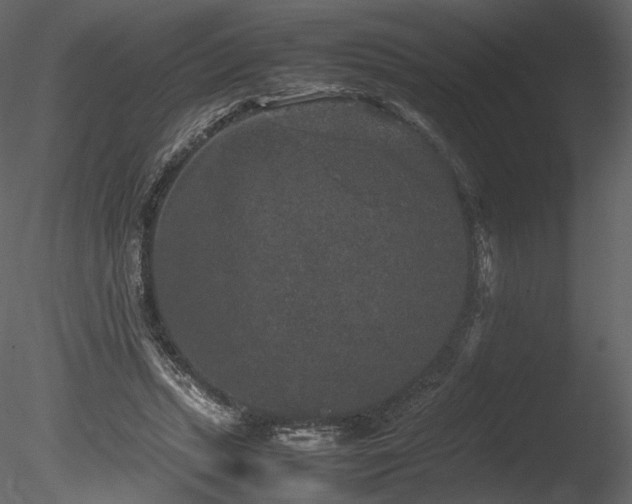 X0000085810447200703161200