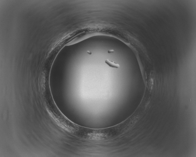 X0000085810448200703161200