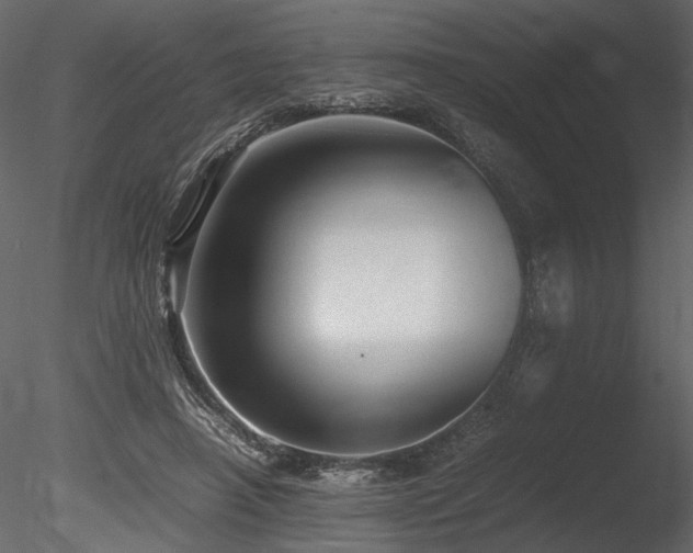 X0000085810450200703161200