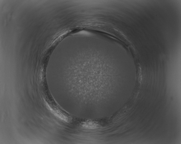 X0000085810451200703161200