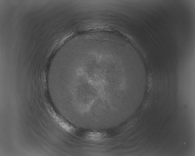 X0000085810453200703161200