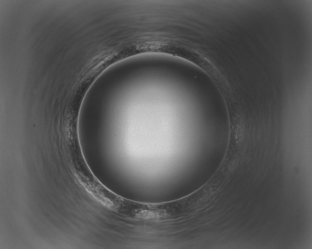 X0000085810455200703161200