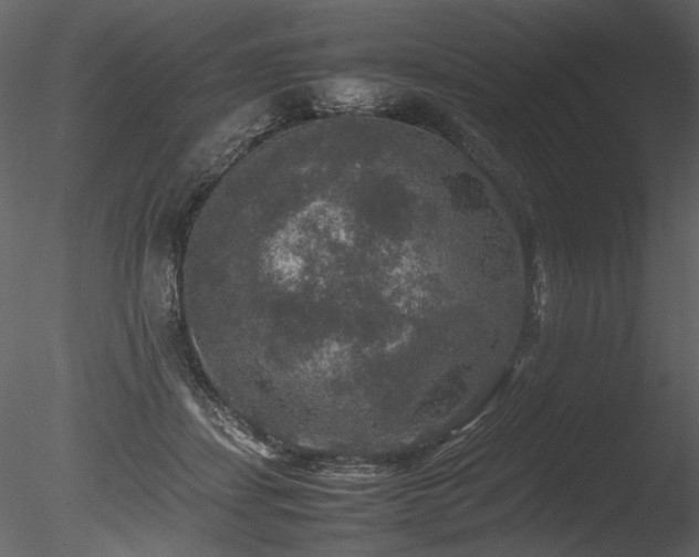 X0000085810459200703161200