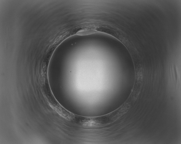 X0000085810460200703161200