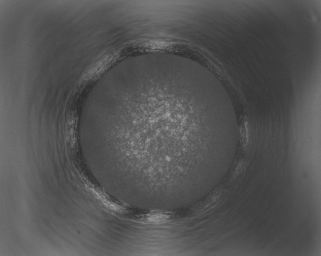 X0000085810462200703161200