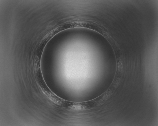 X0000085810464200703161200