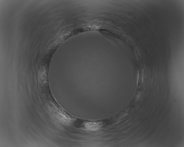 X0000085810465200703161200