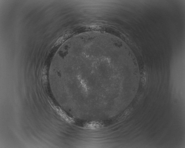 X0000085810466200703161200