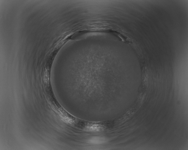 X0000085810467200703161200