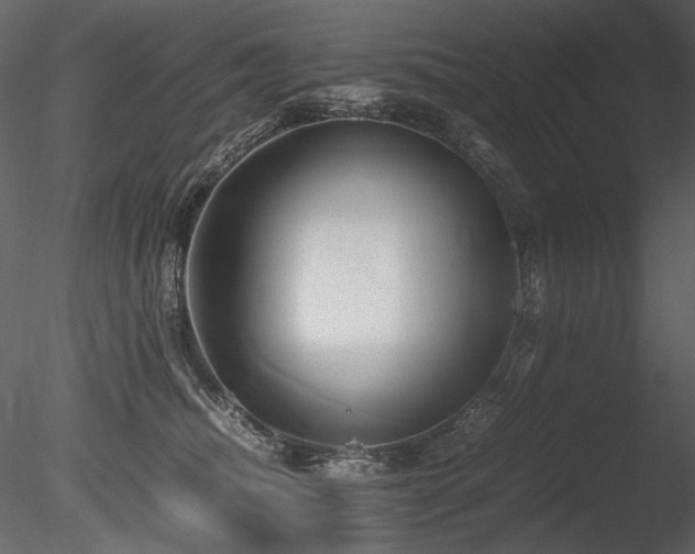 X0000085810468200703161200