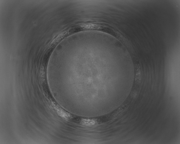 X0000085810469200703161200