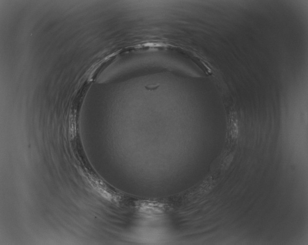 X0000085810471200703161200