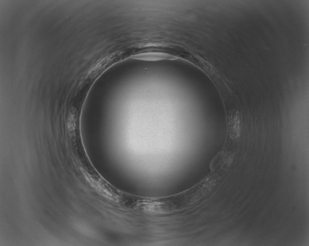 X0000085810472200703161200