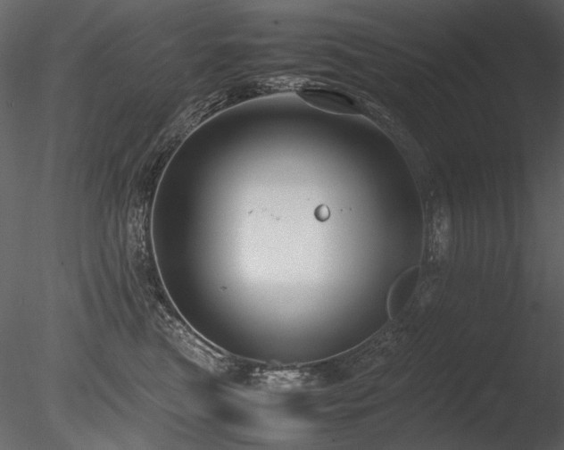 X0000085810473200703161200