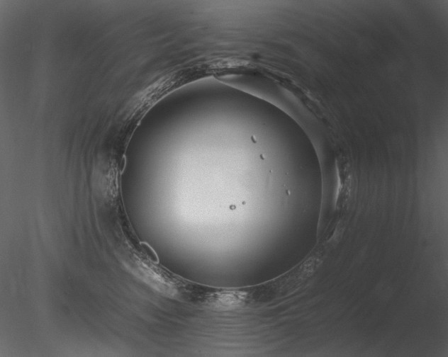 X0000085810474200703161200