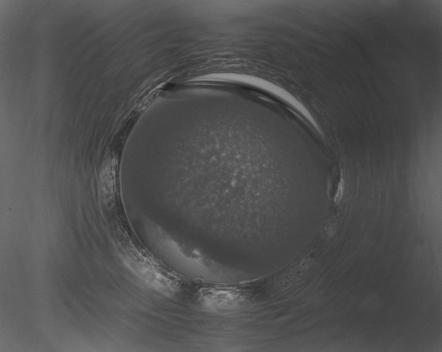 X0000085810475200703161200