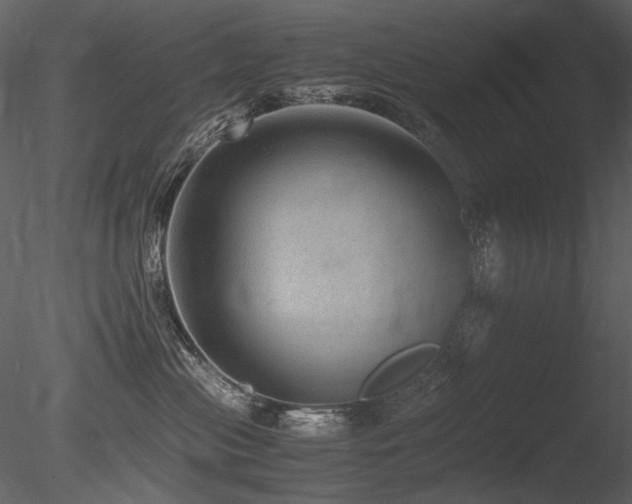 X0000085810477200703161200