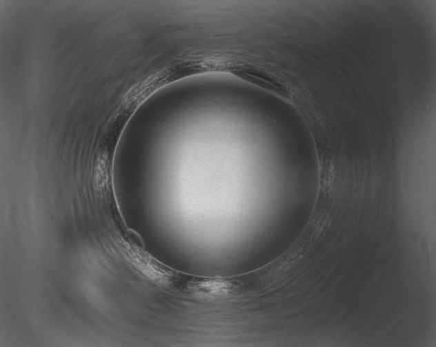 X0000085810478200703161200