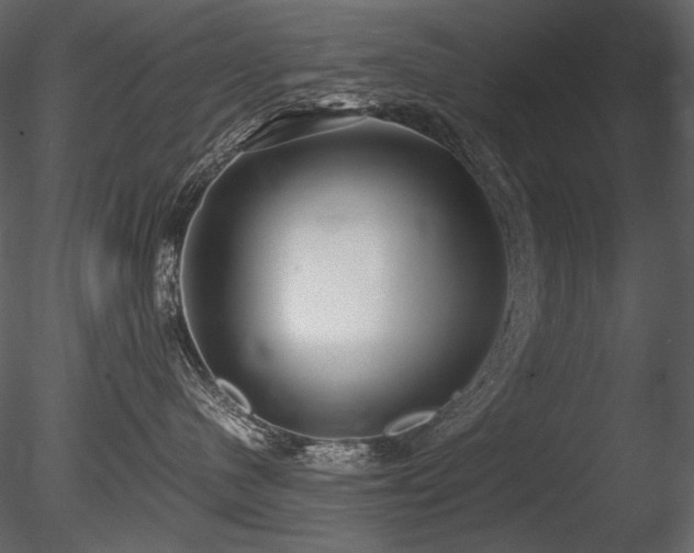 X0000085810480200703161200