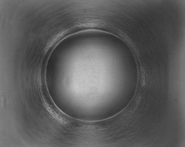 X0000085810482200703161159