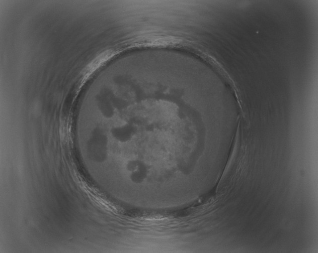 X0000085810483200703161159