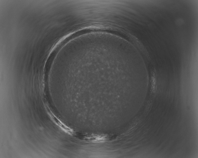 X0000085810484200703161159