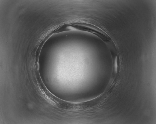 X0000085810485200703161159