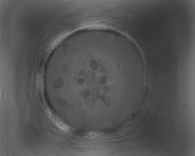 X0000085810487200703161159