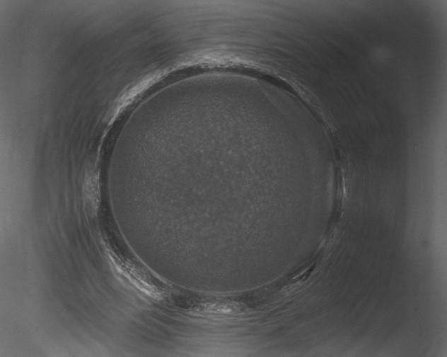 X0000085810488200703161159