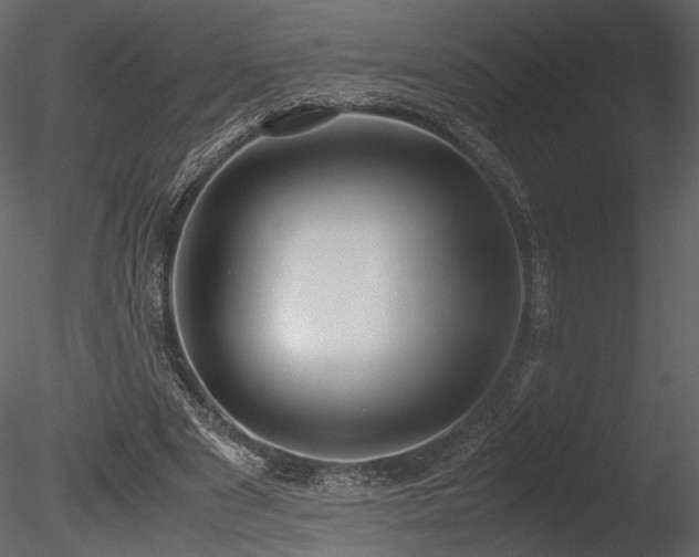 X0000085810489200703161159