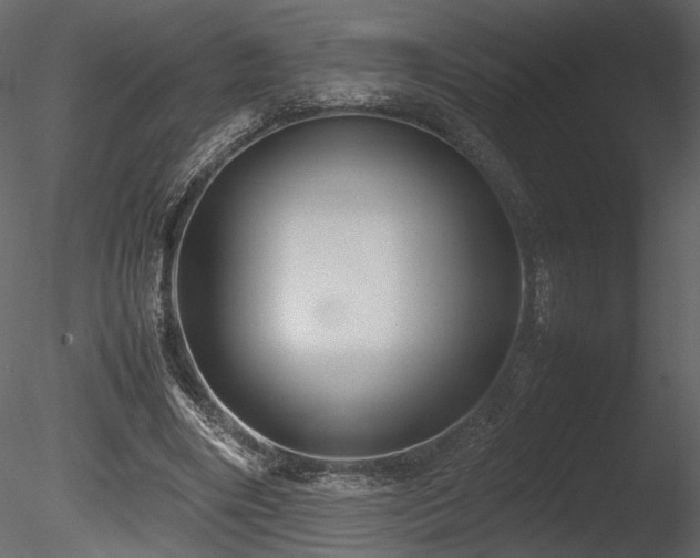 X0000085810490200703161159