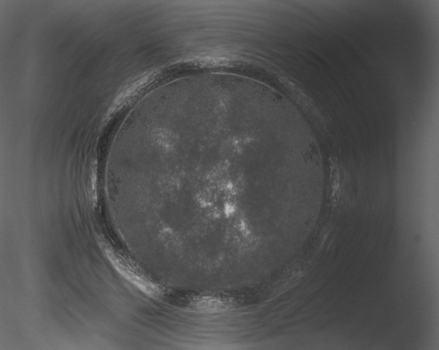 X0000085810494200703161159