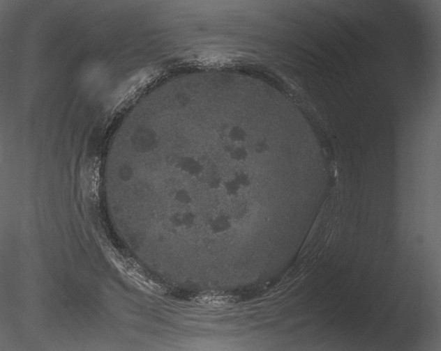 X0000085810495200703161159