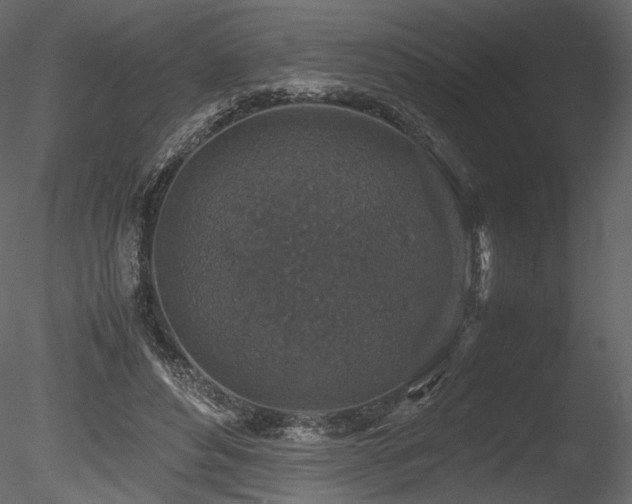 X0000085810496200703161159