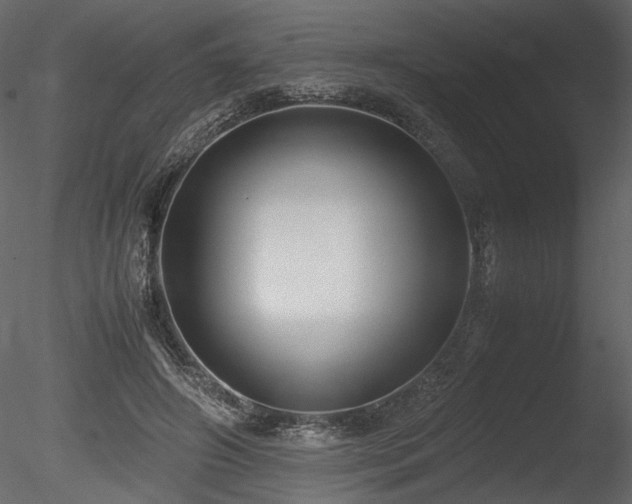 X0000085810498200703161159