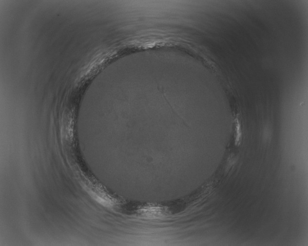 X0000085810499200703161159