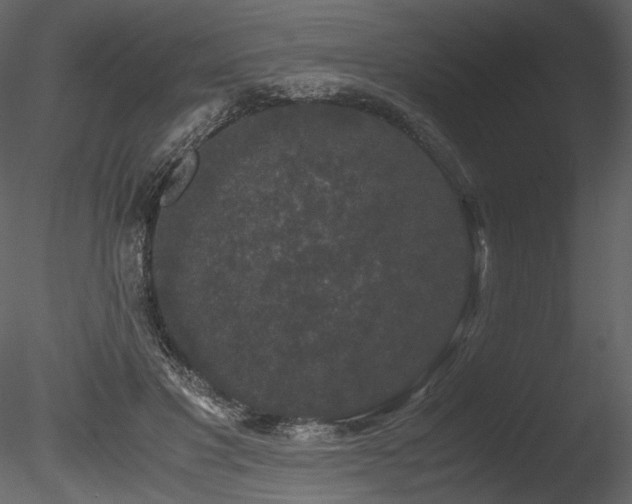 X0000085810501200703161159