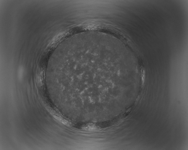 X0000085810503200703161159