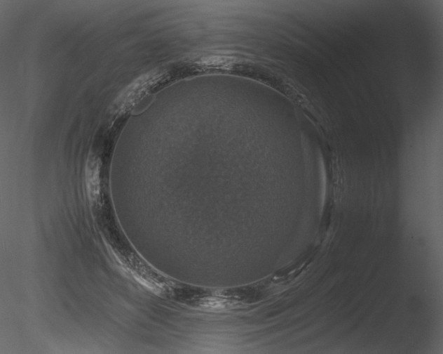 X0000085810504200703161159