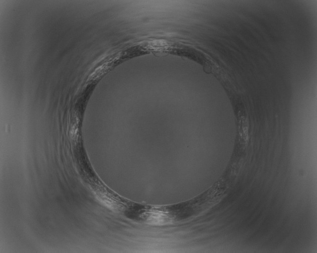 X0000085810507200703161159