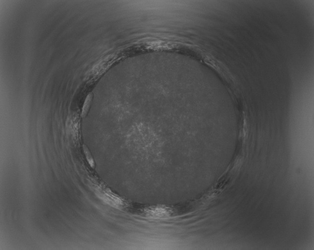 X0000085810513200703161159