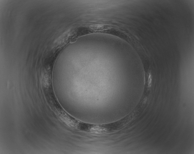 X0000085810515200703161159