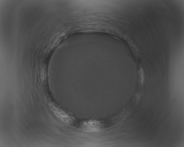 X0000085810517200703161159