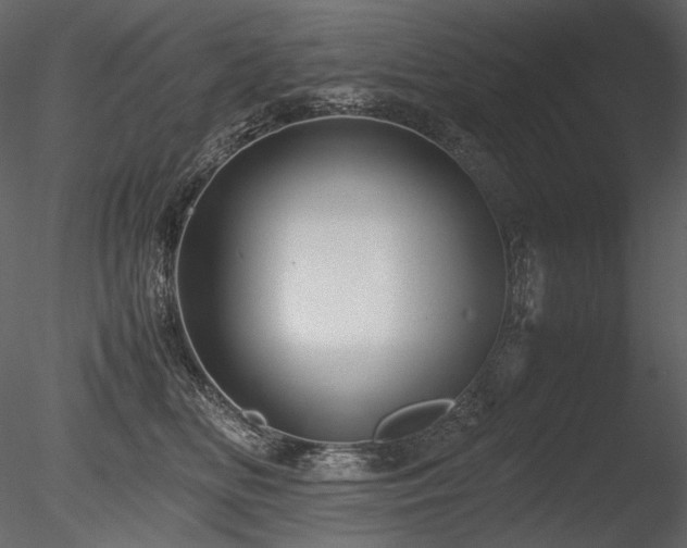 X0000085810518200703161159