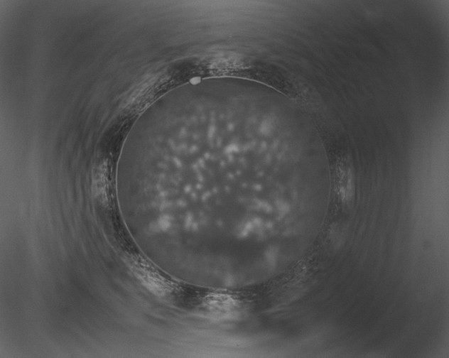 X0000085810519200703161159