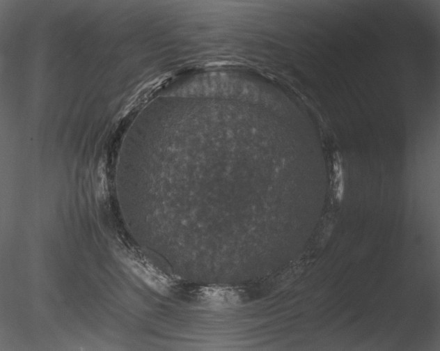 X0000085810520200703161159