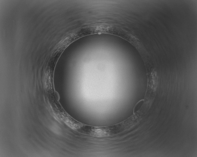 X0000085810522200703161159