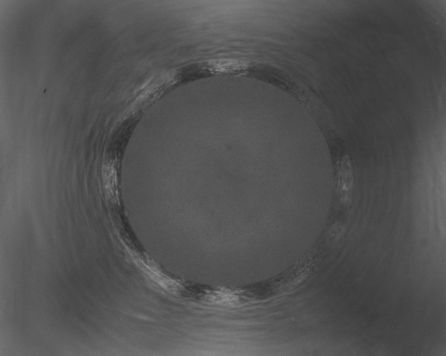 X0000085810523200703161159