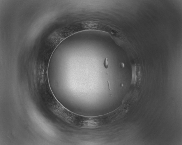 X0000085810525200703161159