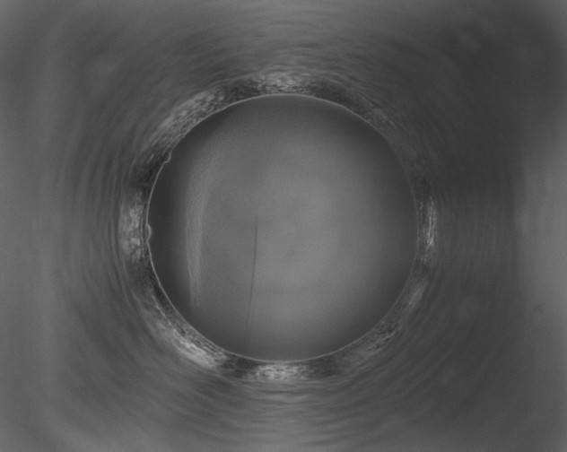 X0000085810526200703161159